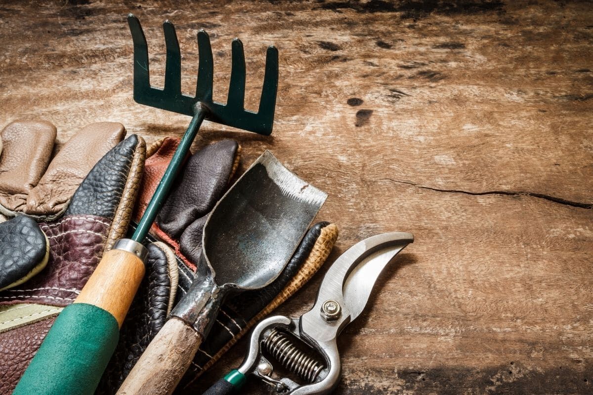 Tuyệt chiêu dùng sữa hết hạn chăm sóc khu vườn của bạn-3