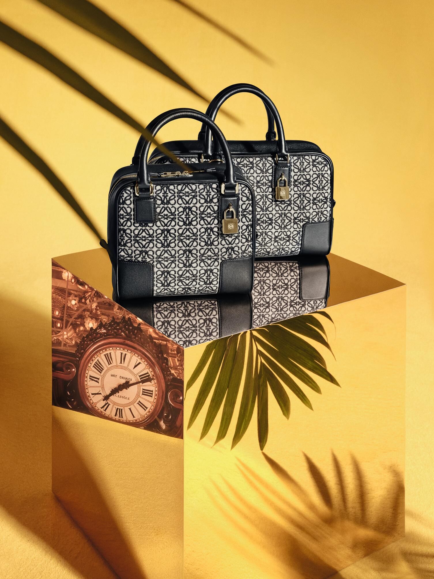 Loewe Amazona