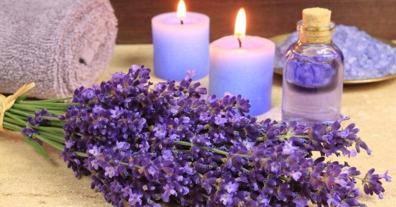 Những tinh dầu dưỡng ẩm da mềm mại và mịn màng-7