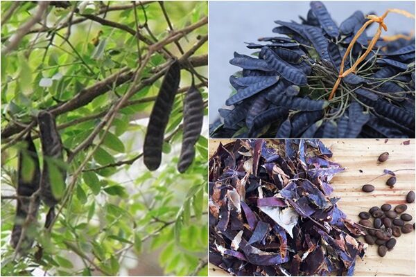 Tự làm dầu gội đầu từ thiên nhiên đơn giản tại nhà