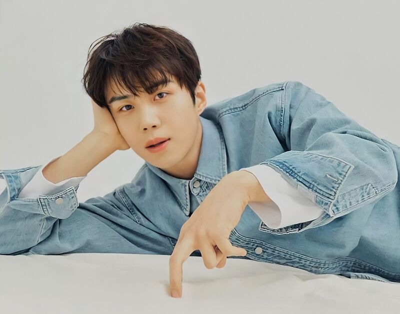 kim seon ho