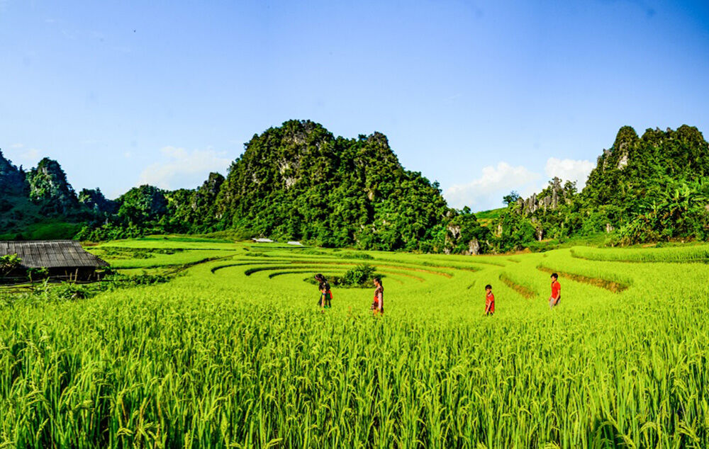 Điểm hẹn cho tín đồ yêu thích những thửa ruộng lưng chừng giữa mây trời - 1
