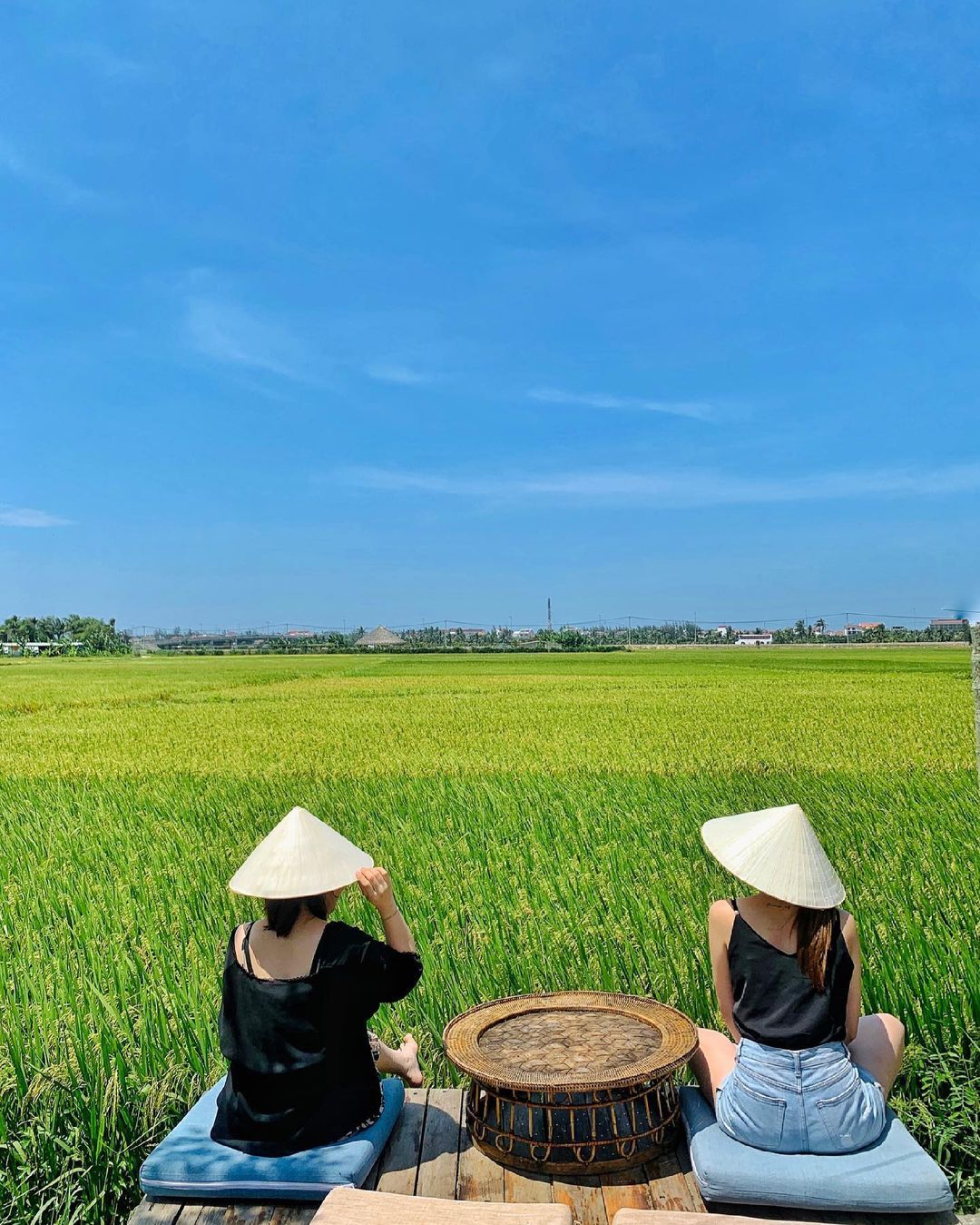 Check-in 2 tiệm cà phê 'view đồng lúa' mãn nhãn ở Hội An - 5