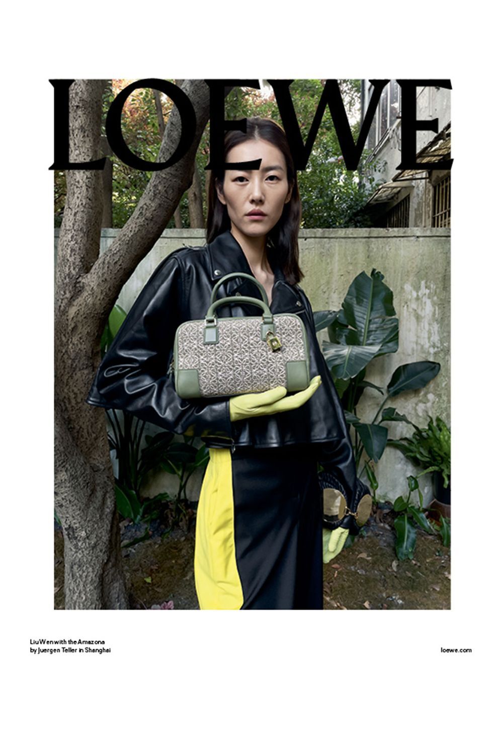 loewe