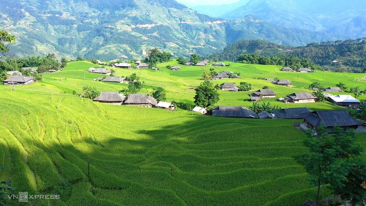 Bản giao hưởng của lúa - 6