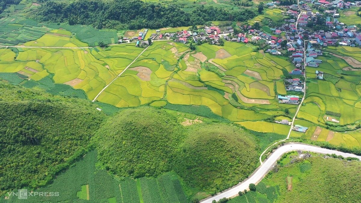 Bản giao hưởng của lúa - 7