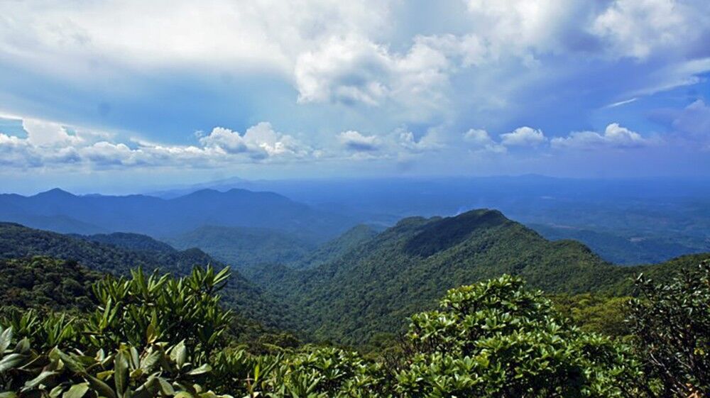 Cao nguyên Kon Hà Nừng (Gia Lai) được UNESCO công nhận là Khu dự trữ sinh quyển thế giới | Thời Đại