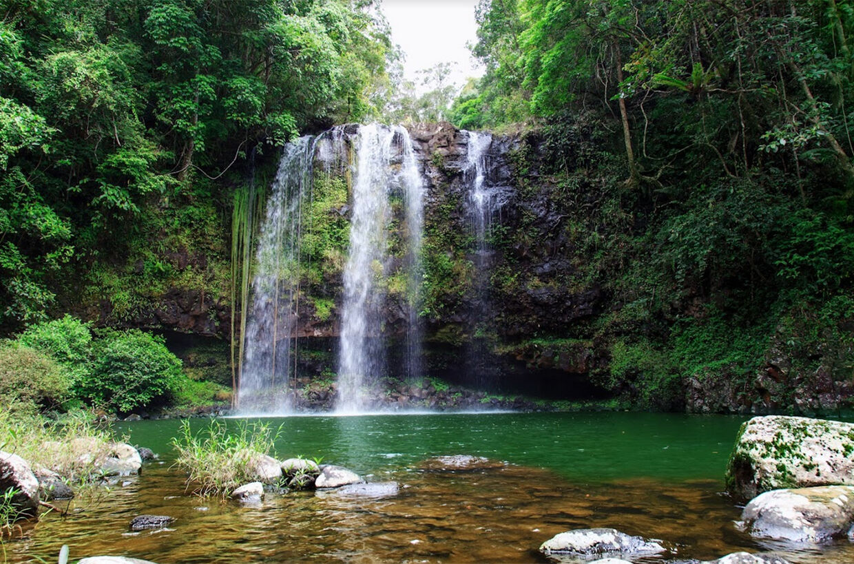 Khu dự trữ sinh quyển Cao nguyên Kon Hà Nừng được UNESCO công nhận - Báo Gia Lai điện tử - Tin nhanh - Chính xác