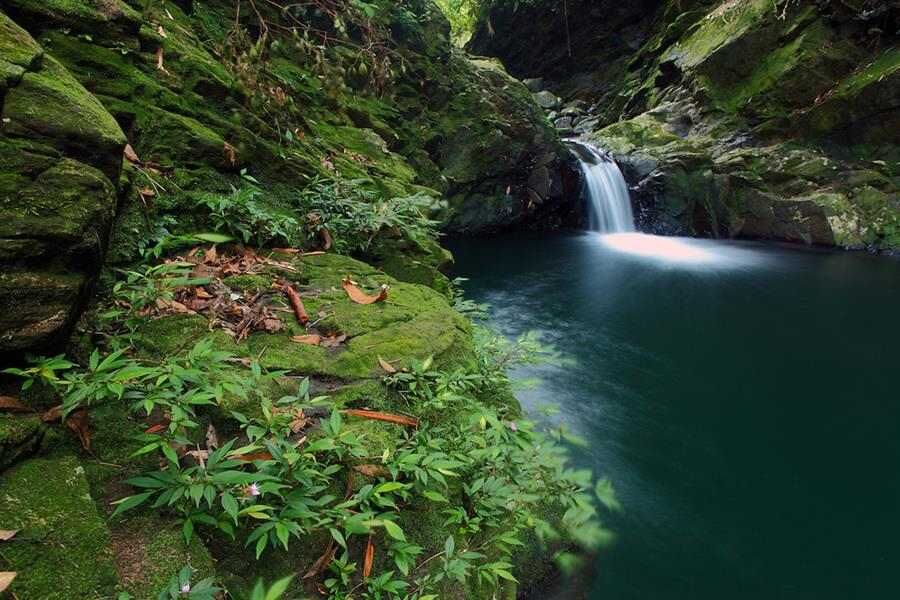 Vườn quốc gia Bạch Mã - Yes, Vietnam