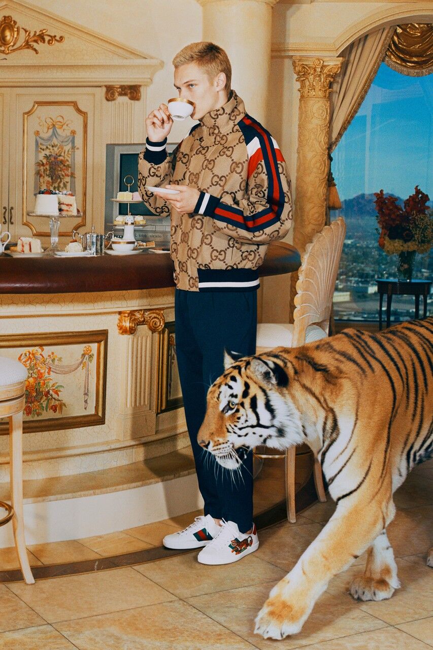 Gucic Tiger