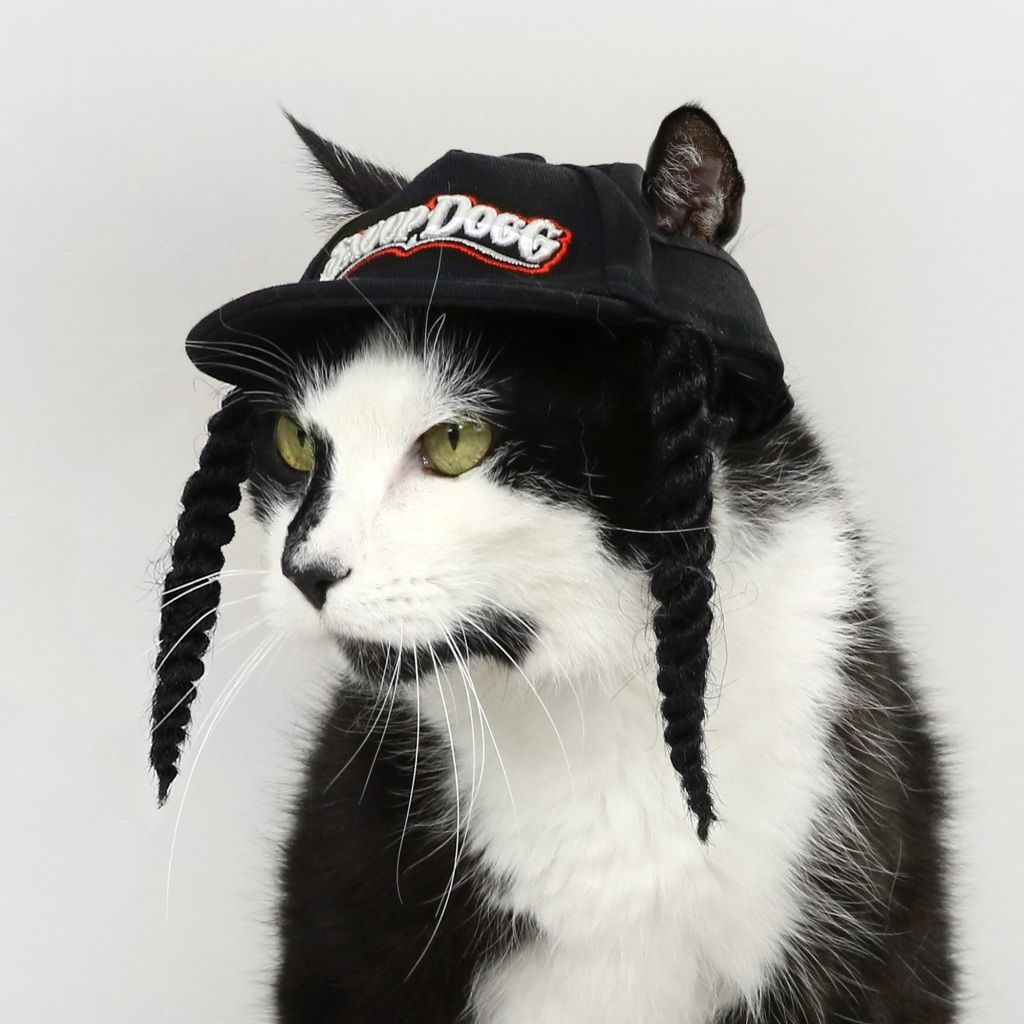 Snoop Doggie Doggs