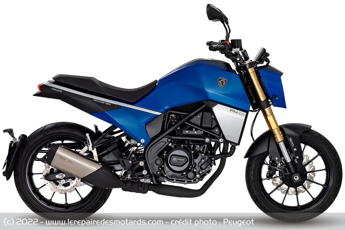 Peugeot PM-01 300