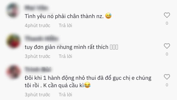 Một số netizen tỏ ra thích thú khi chiêm ngưỡng bó hoa này. (Ảnh chụp màn hình: TikTok V.M.Đ)