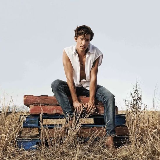 shawn mendes tommy hilfiger