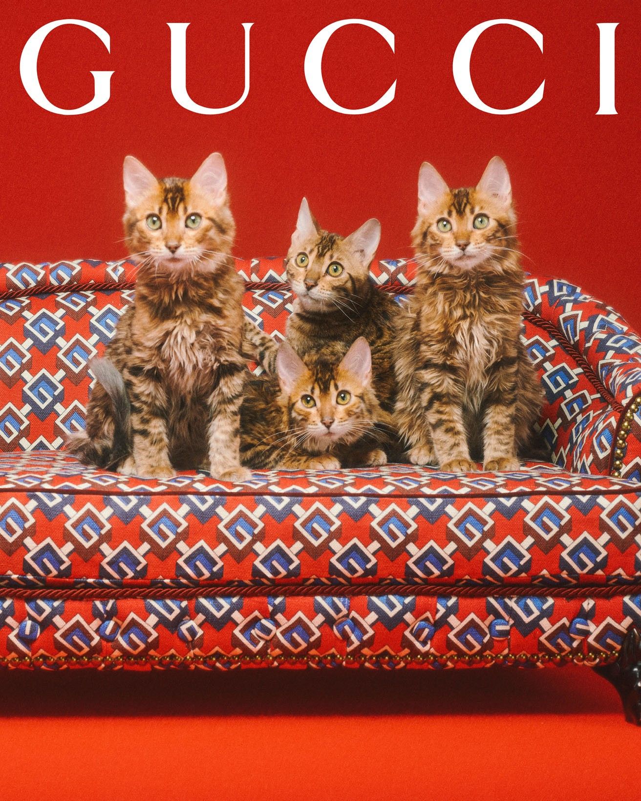 Gucci