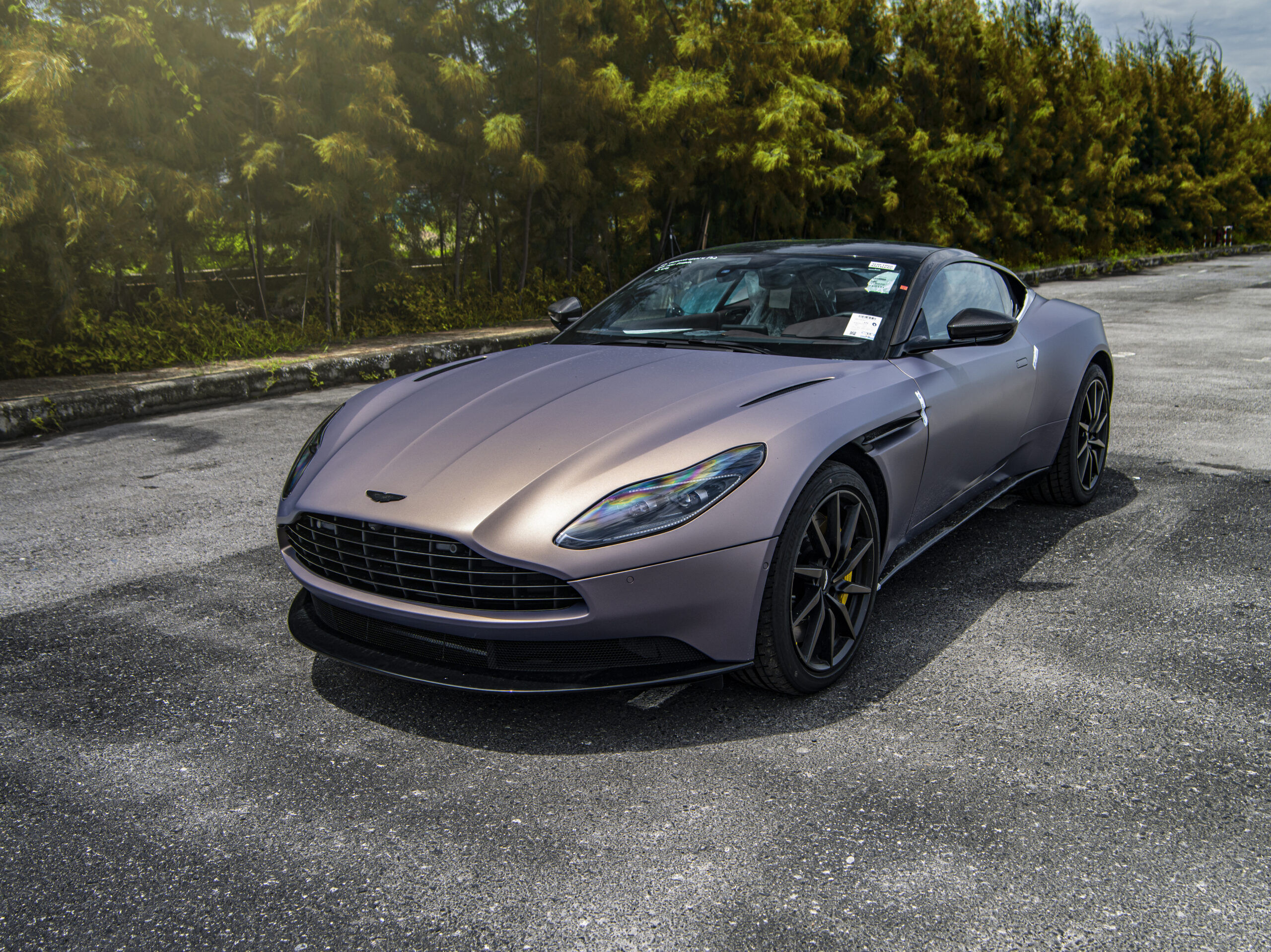 DB11_IMGP6210-scaled.jpg