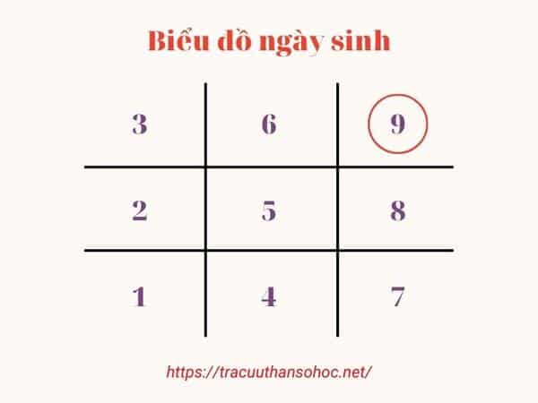 so-9-trong-bieu-do-ngay-sinh.jpg