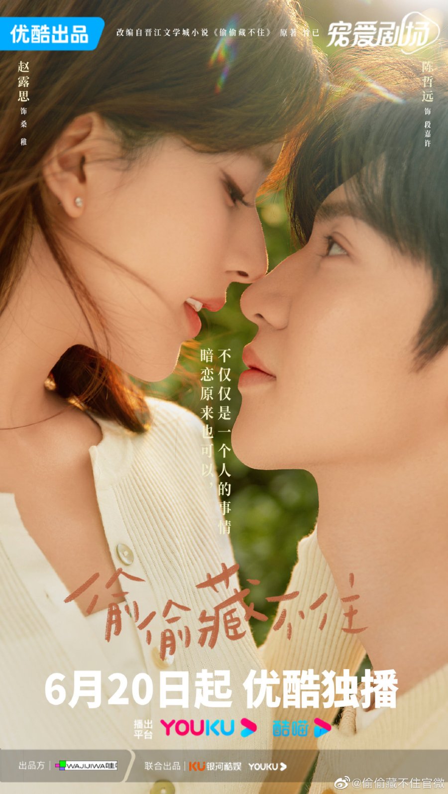 Vụng trộm không thể giấu - Hidden Love (2023)
