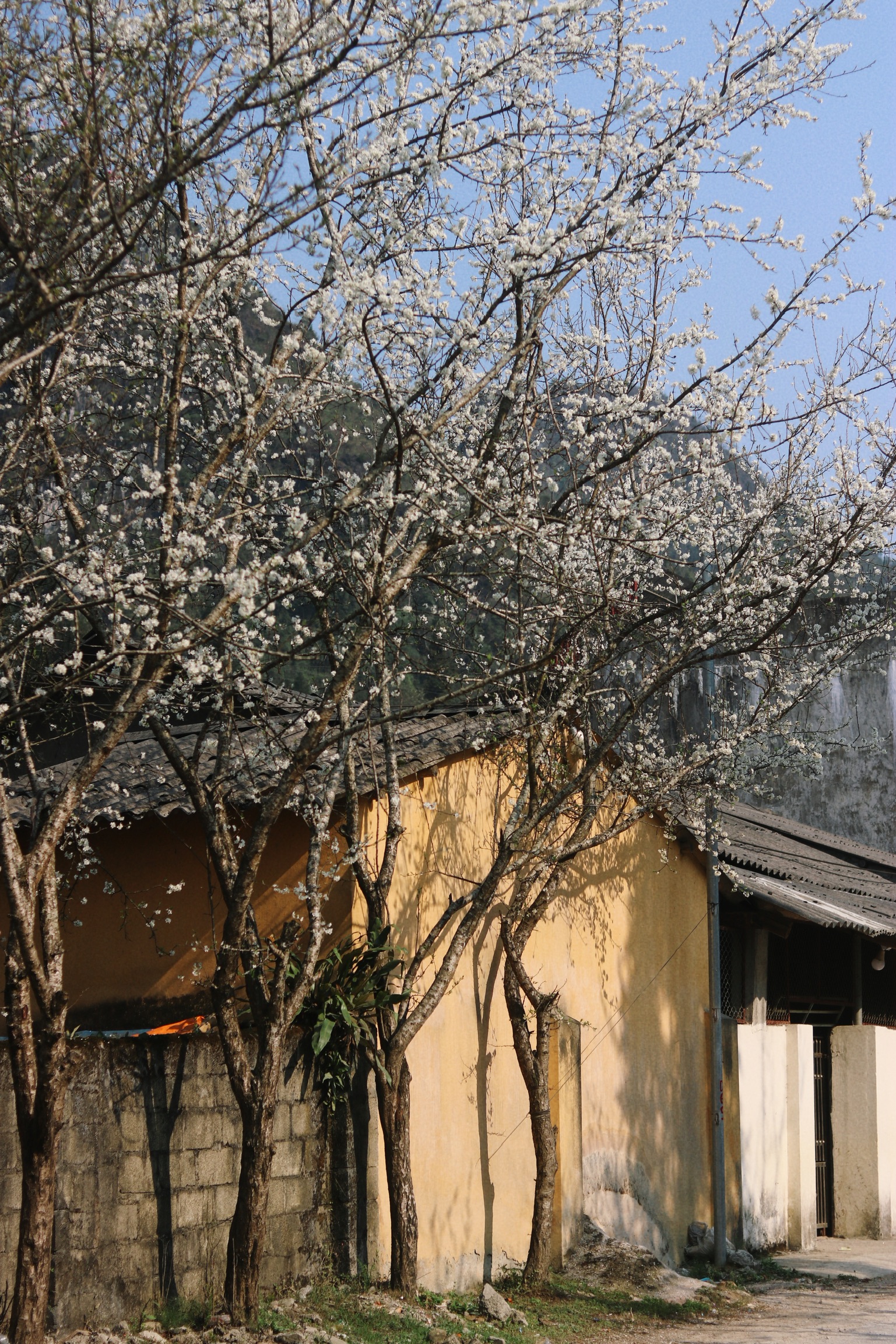 du lịch hà giang nhà cổ
