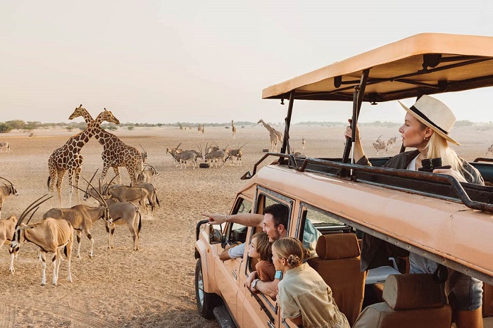 Khám phá thế giới động vật hoang dã ở Sir Bani Yas. Ảnh: arabianbusiness
