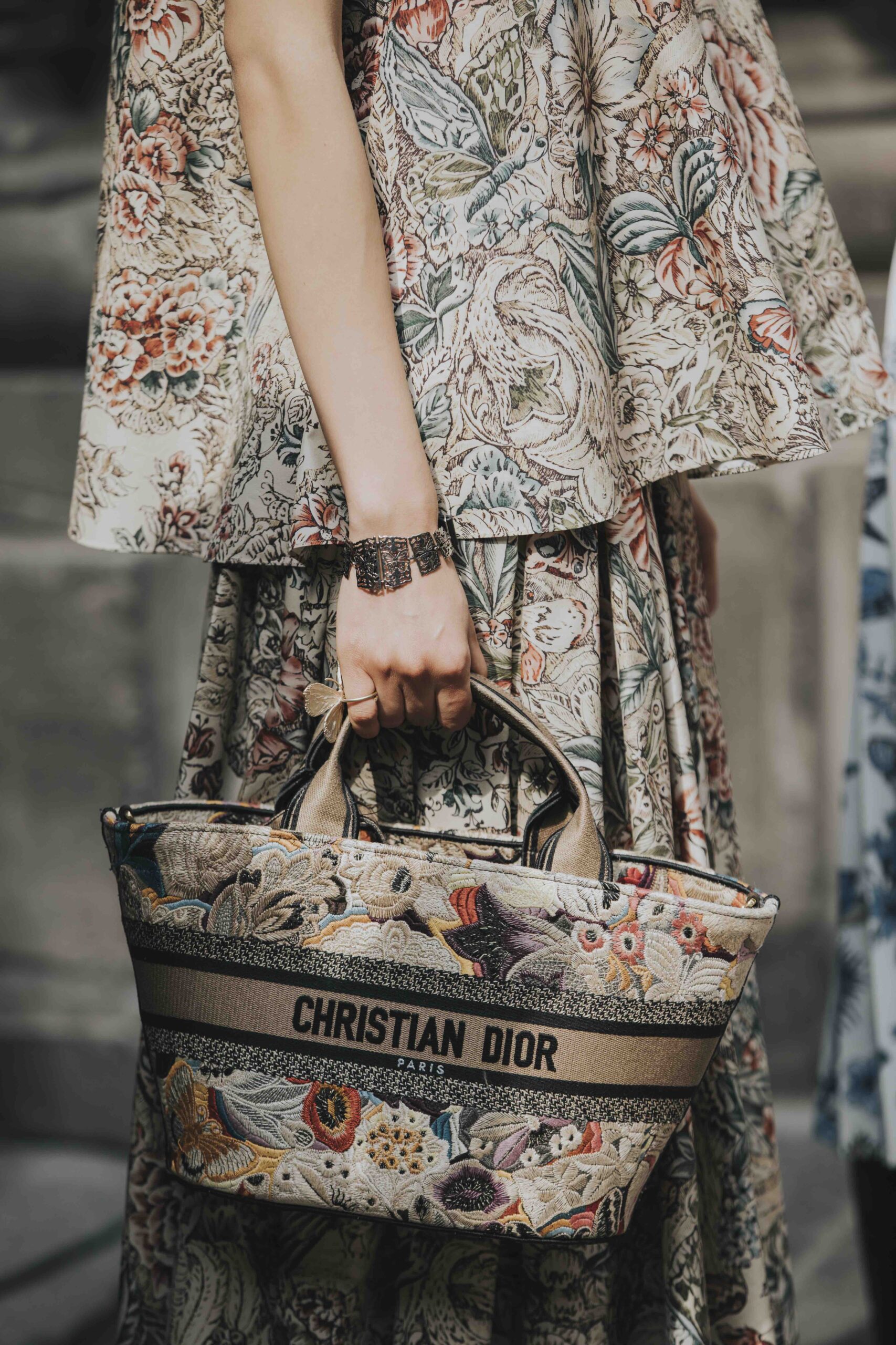 BST Dior Cruise 2024