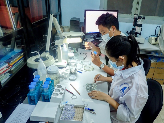 Đại học