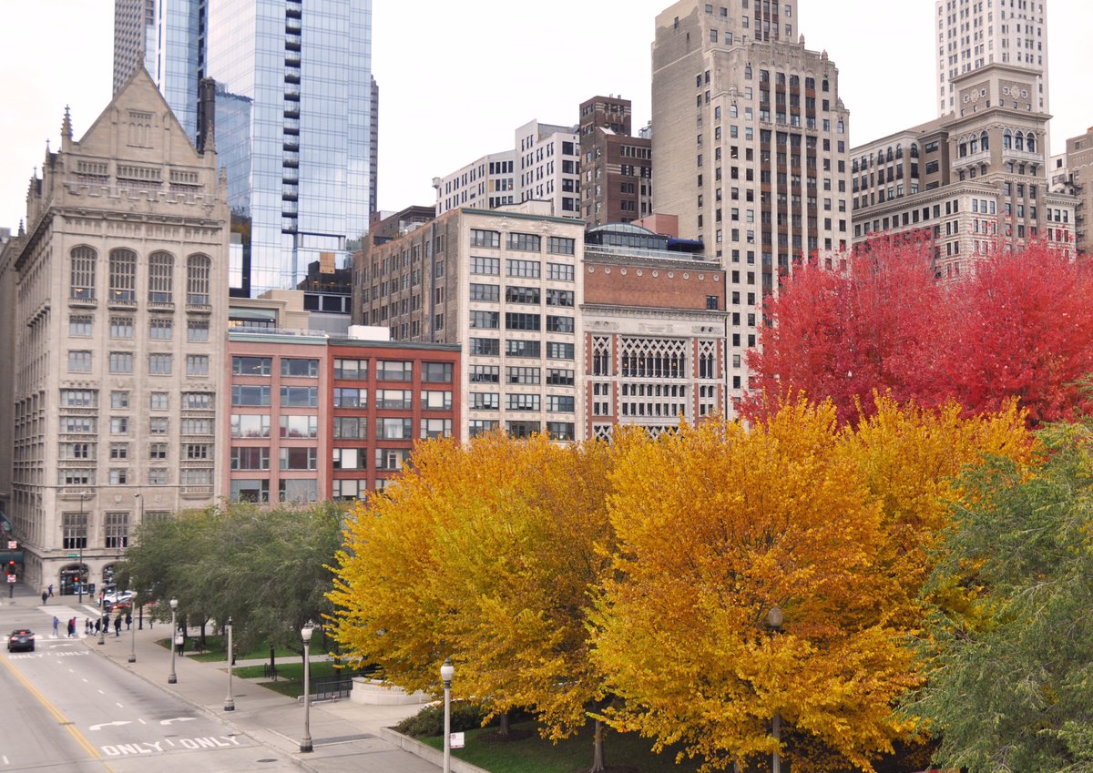 Một góc thành phố Chicago, Mỹ.