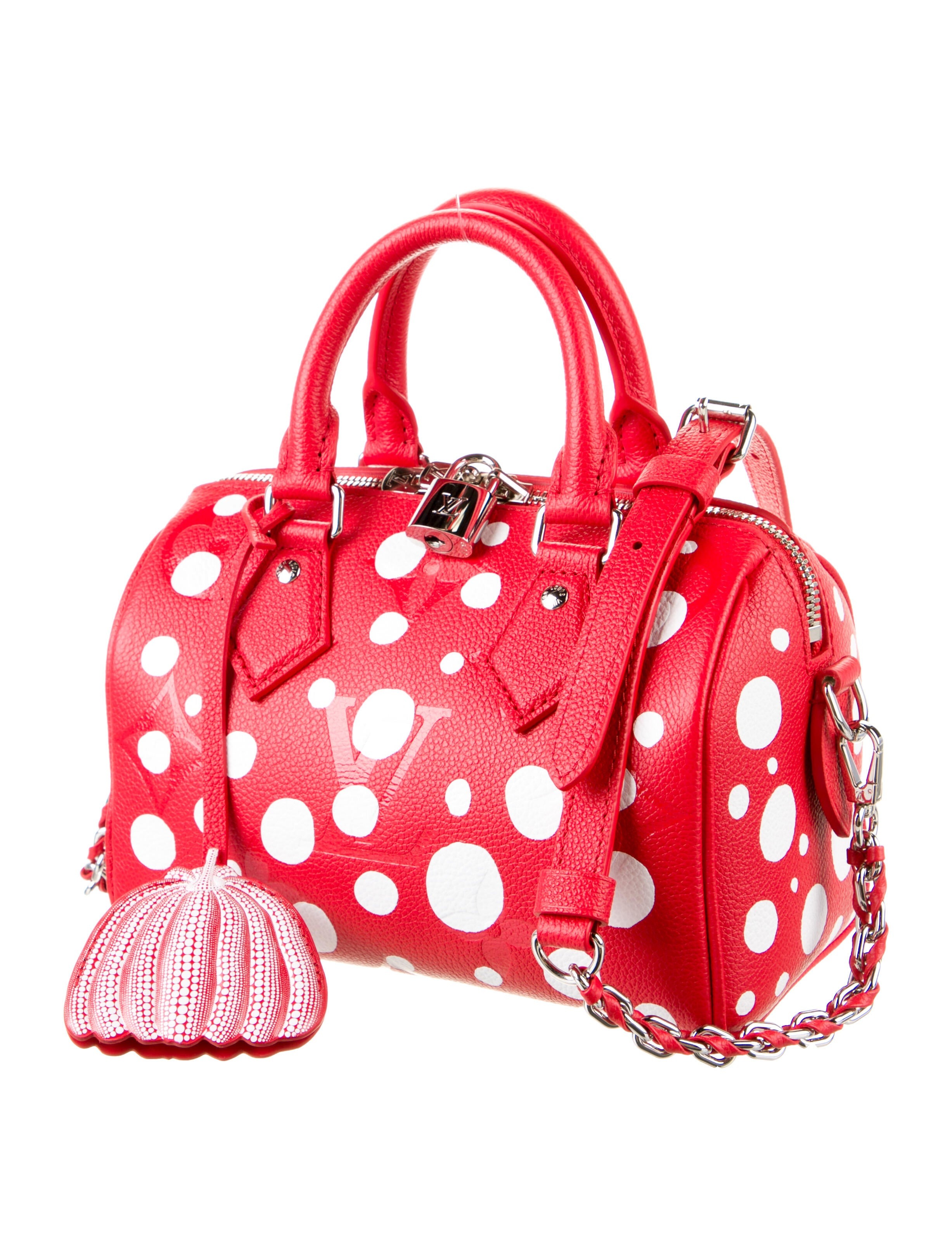 LV Speedy Bag