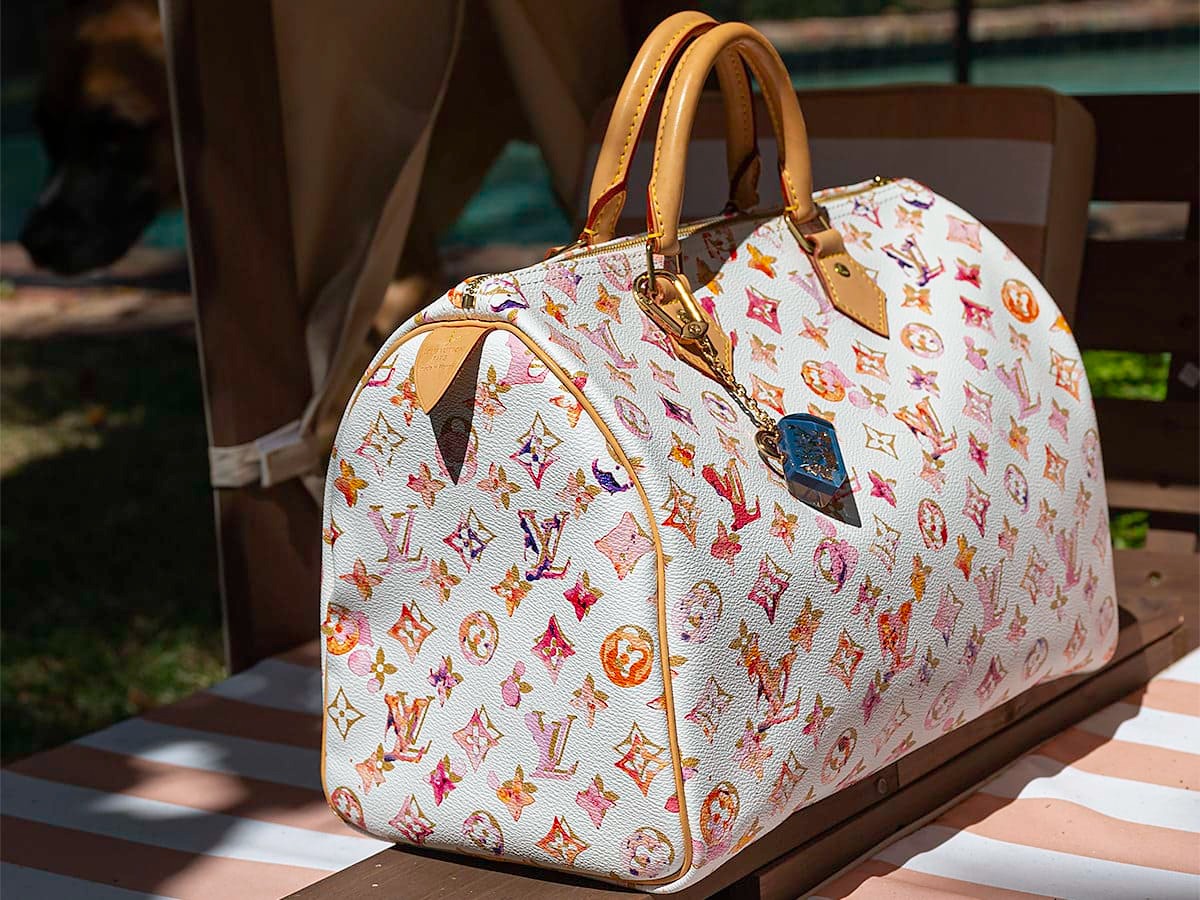 LV Speedy Bag