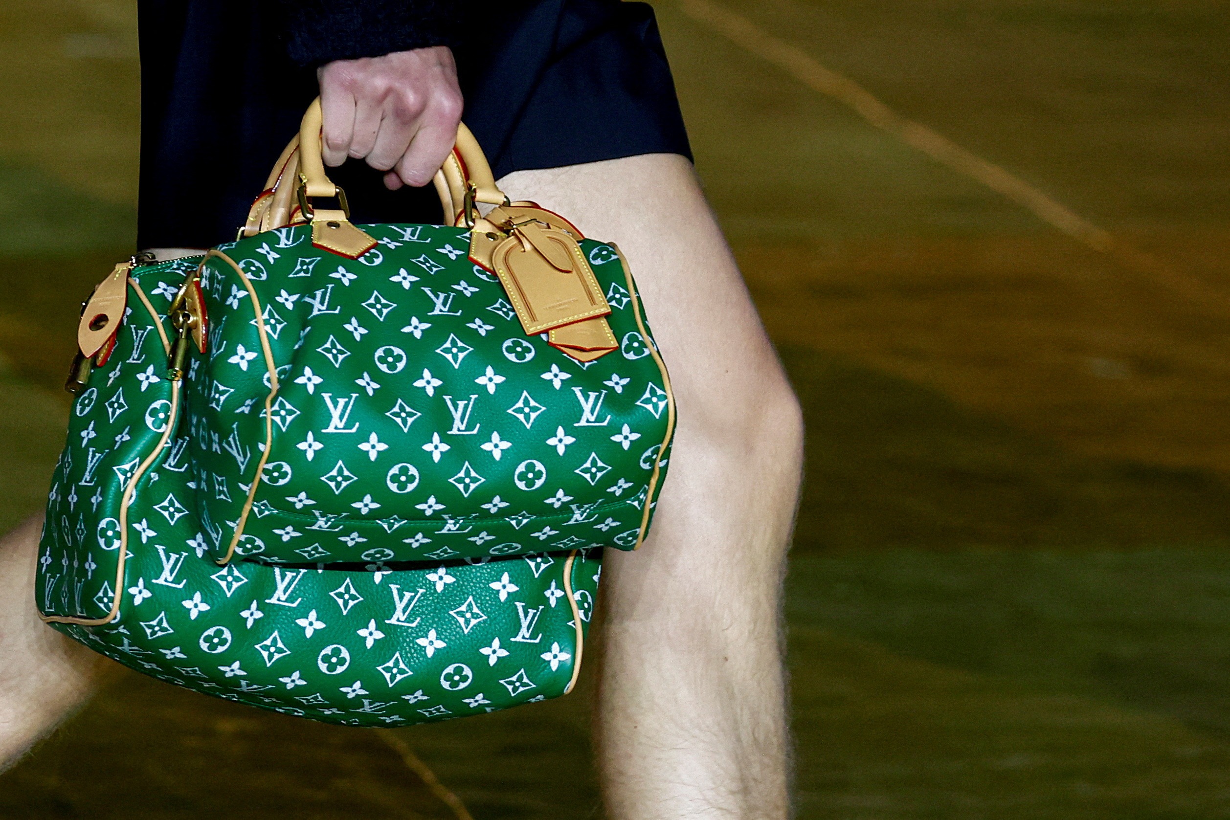 LV Speedy Bag