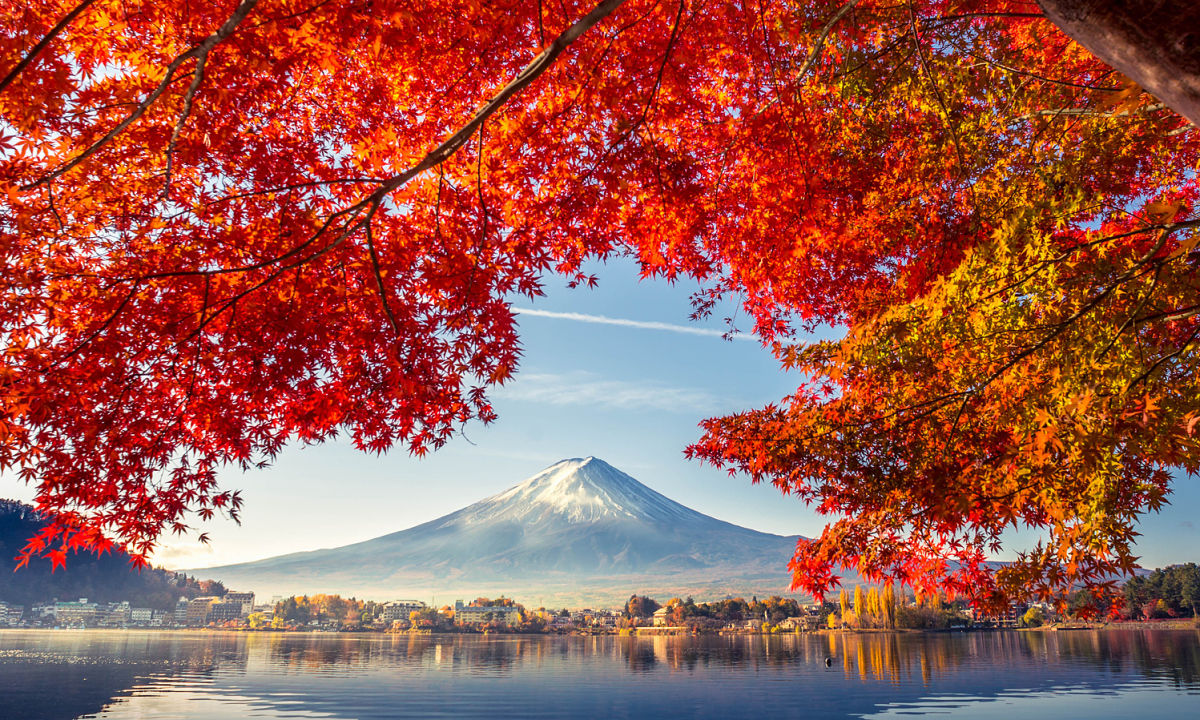 Colorful Autumn Season and Mountain Fuji with morning fog and red leaves at lake Kawaguchiko is one of the best places in Japan