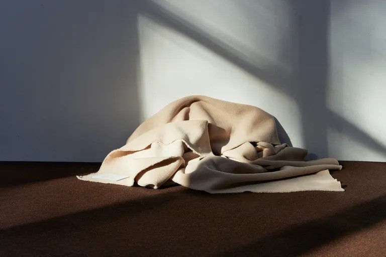 Studio Nicholson và Zara