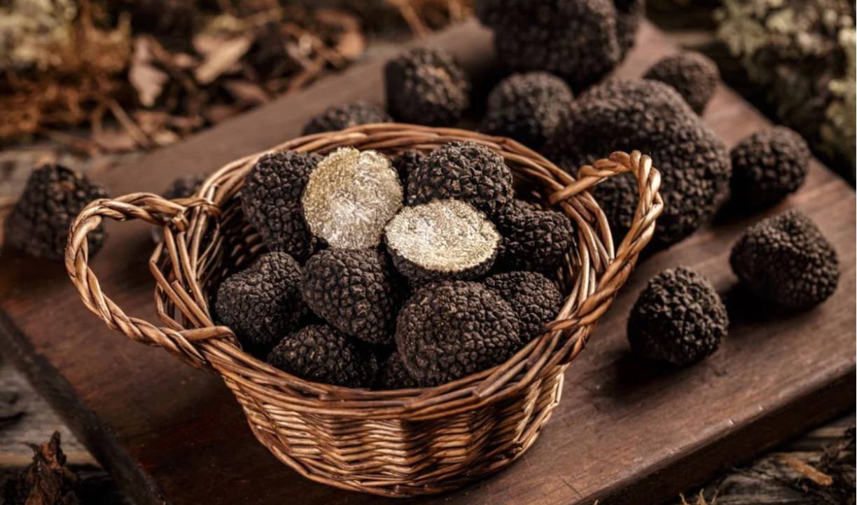 Đưa Món Ăn Lên Một Tầm Cao Mới Với Hương Vị Của Nấm Truffle