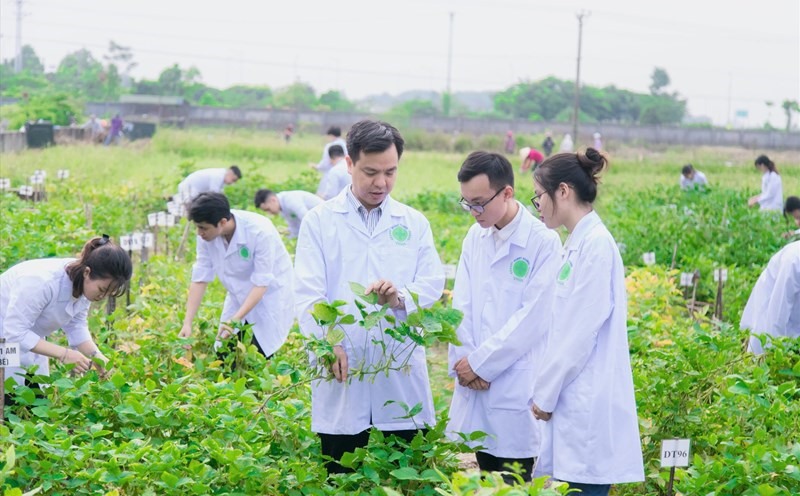 Công nghệ thực phẩm