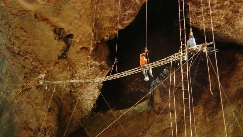 Hình ảnh người khai thác yến sào trong một hang động yến. Chỉ nhìn thôi ta cũng thấy nguy hiểm rình rập.