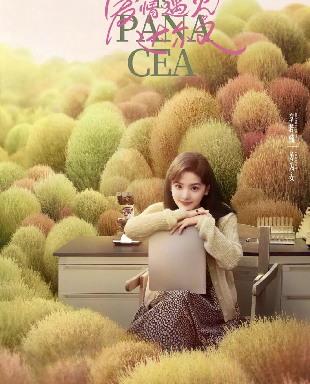 Chương Nhược Nam vai Tô Vi An