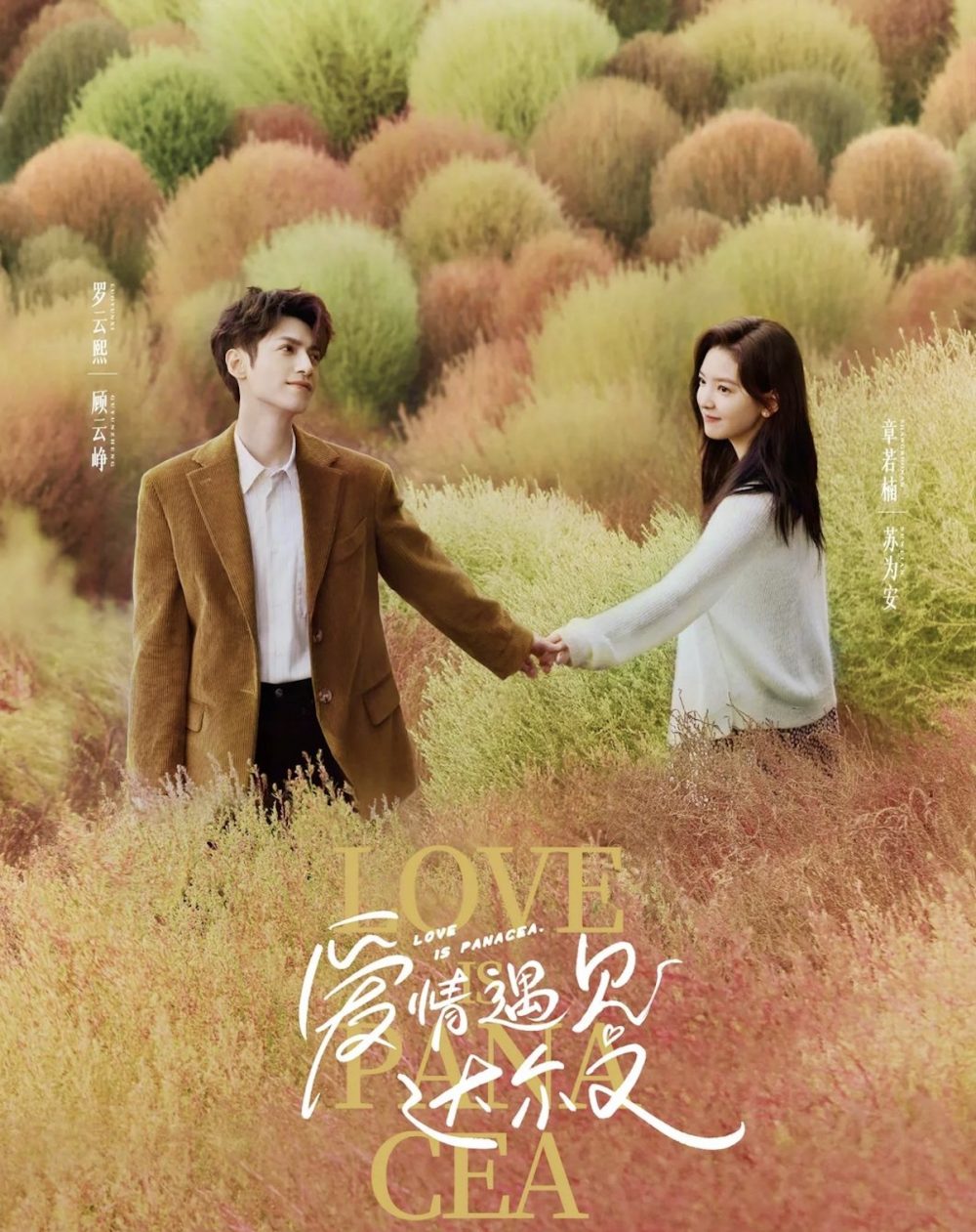 Thông tin phim Người tình chữa lành (Love is Panacea)