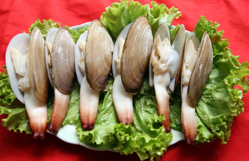 Tu hài