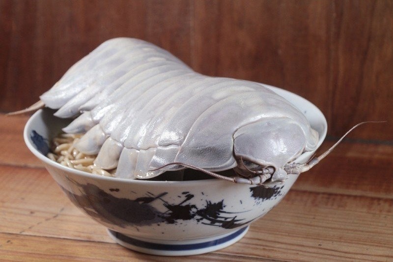 "Độc lạ Đài Loan" với món mì ramen chân cá sấu