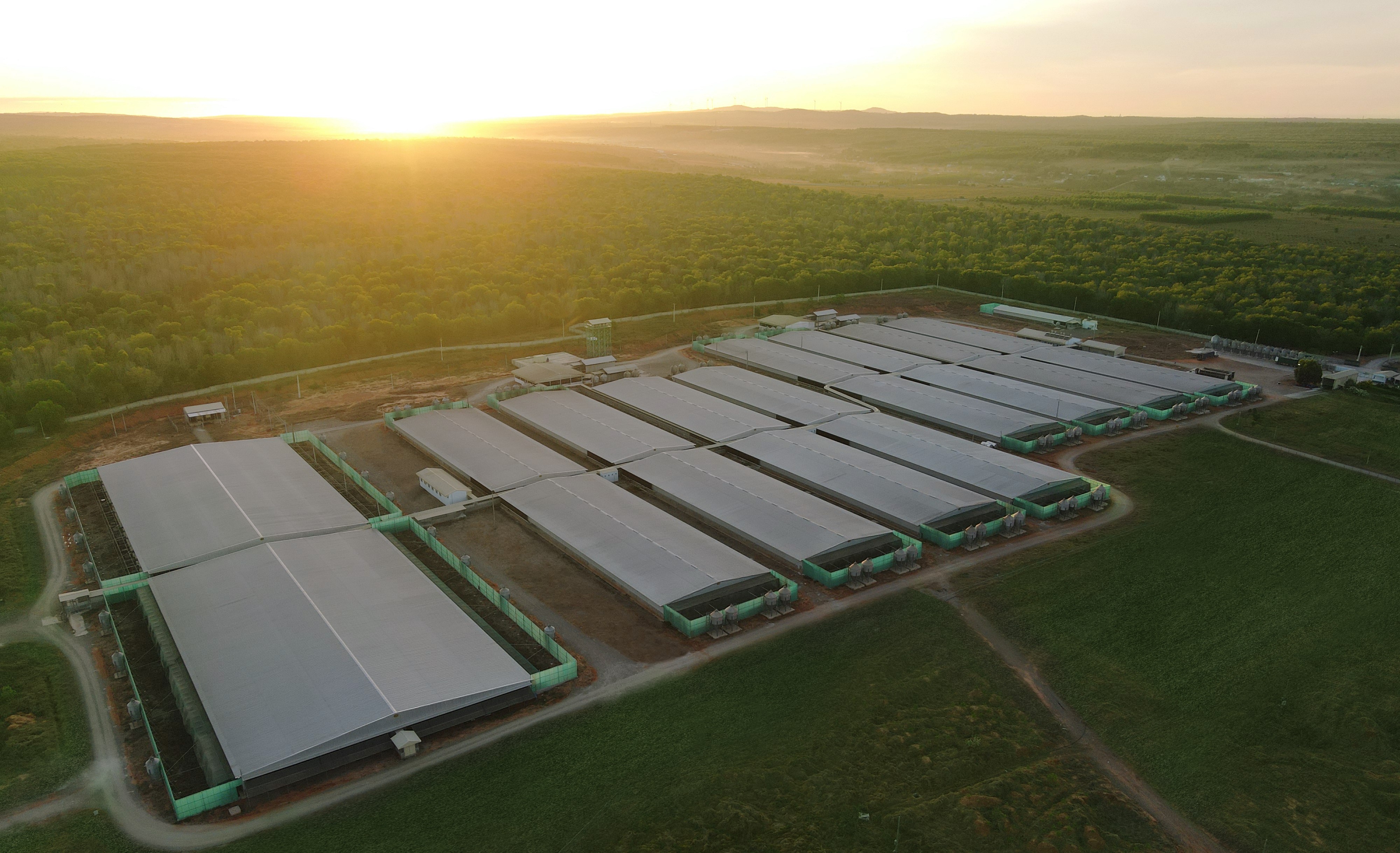 GREENFEED Việt Nam