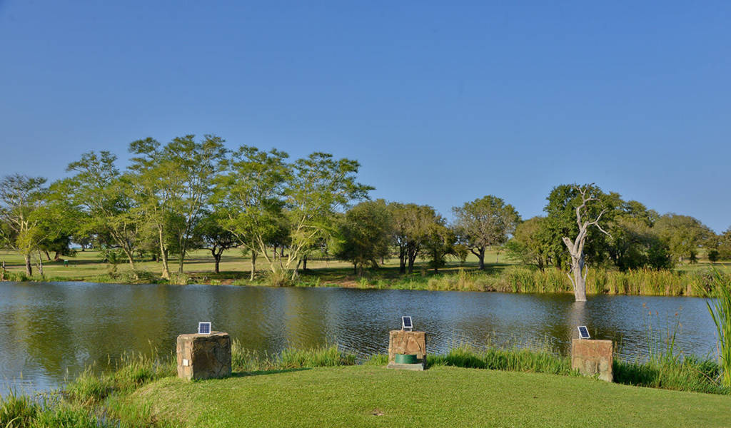 Sân golf hoang dã nhất thế giới Skukuza Golf Club