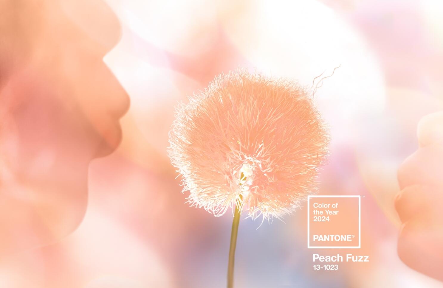 Đón năm mới với loạt diện mạo lấy cảm hứng từ màu sắc chủ đạo 2024 “Peach Fuzz”