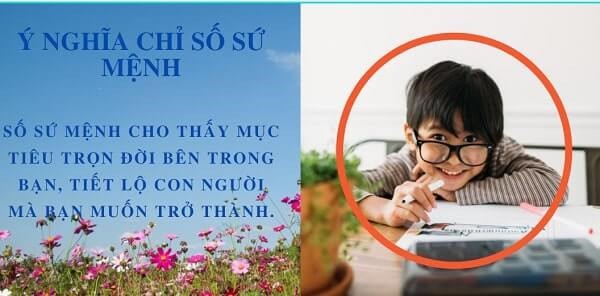 so-su-menh-cho-thay-muc-tieu-ben-trong-ban-dang-huong-toi.jpg
