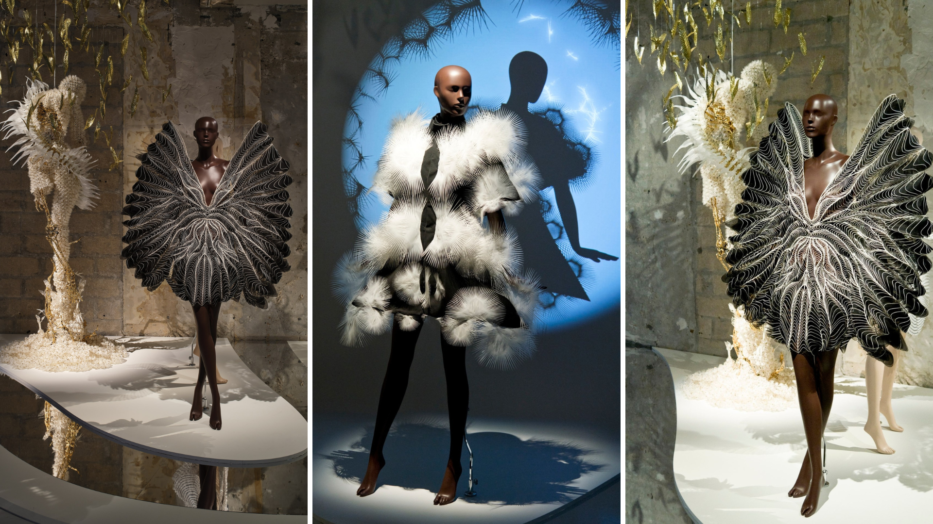 Triển lãm “Iris van Herpen: Sculpting the Senses” ở bảo tàng Pháp