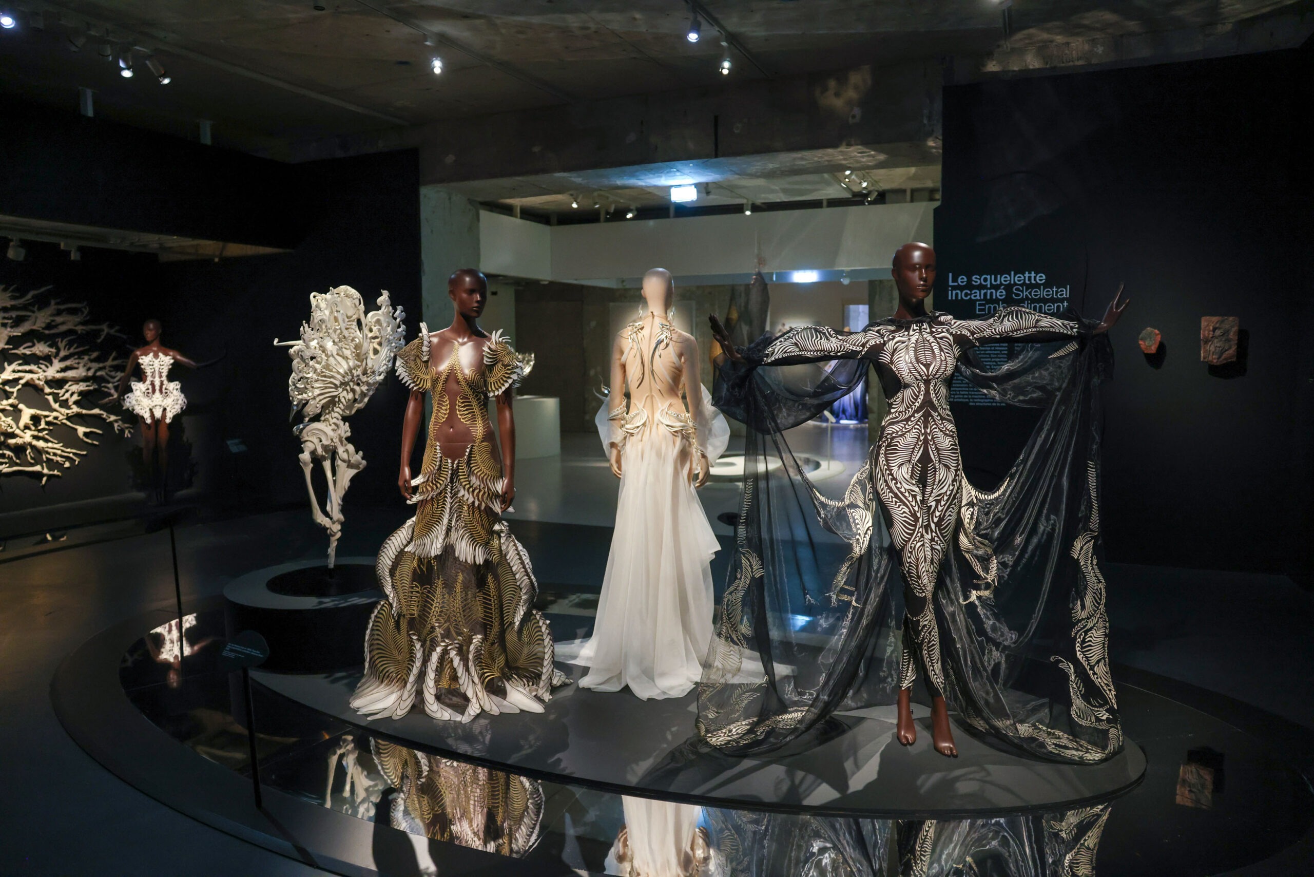 Triển lãm “Iris van Herpen: Sculpting the Senses” ở bảo tàng Pháp