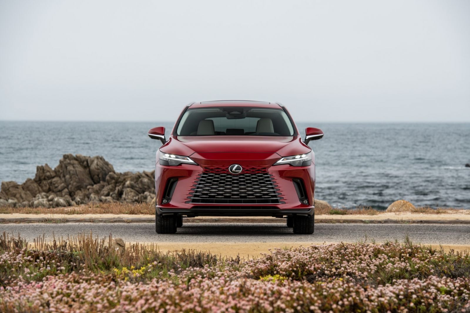 Lexus RX 2023