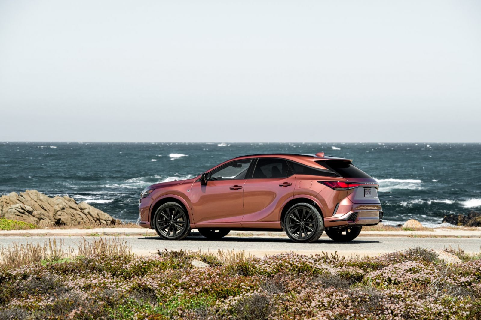 Lexus RX 2023