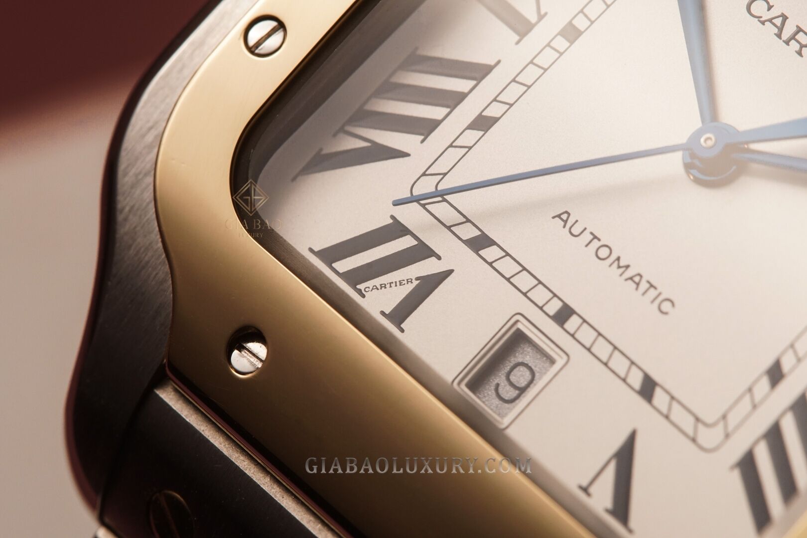 cartier-w2sa0006-21-of-24.jpg?v=1641368973336