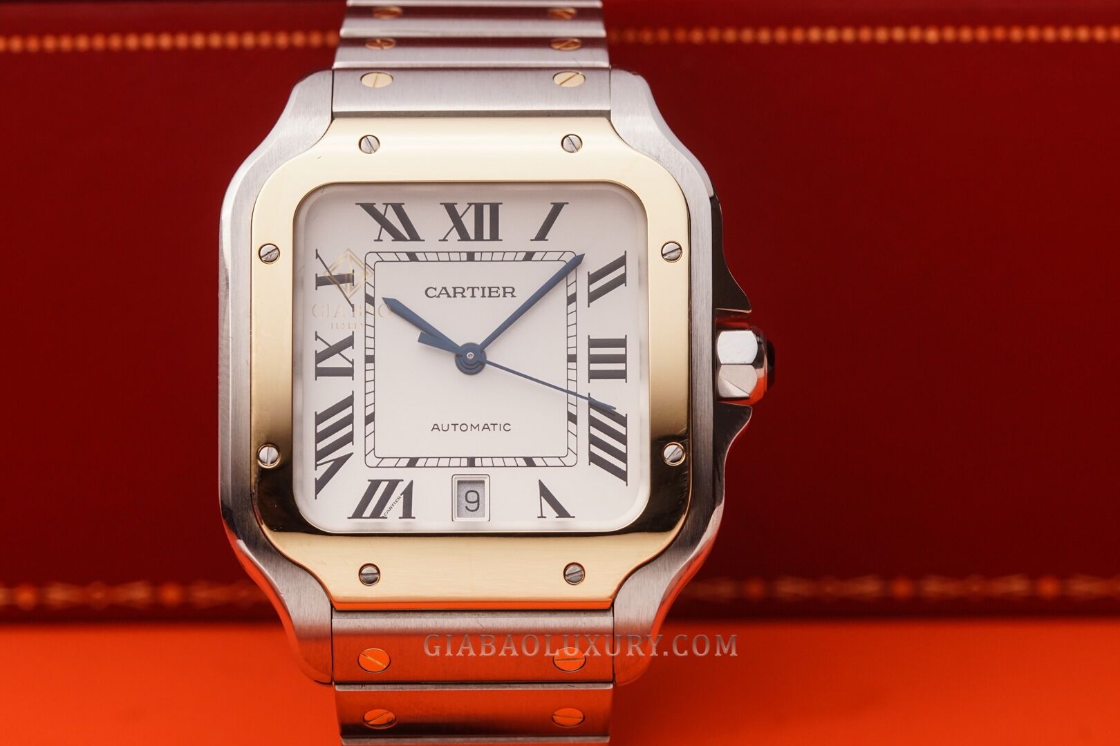 cartier-w2sa0006-24-of-24.jpg?v=1641369063286