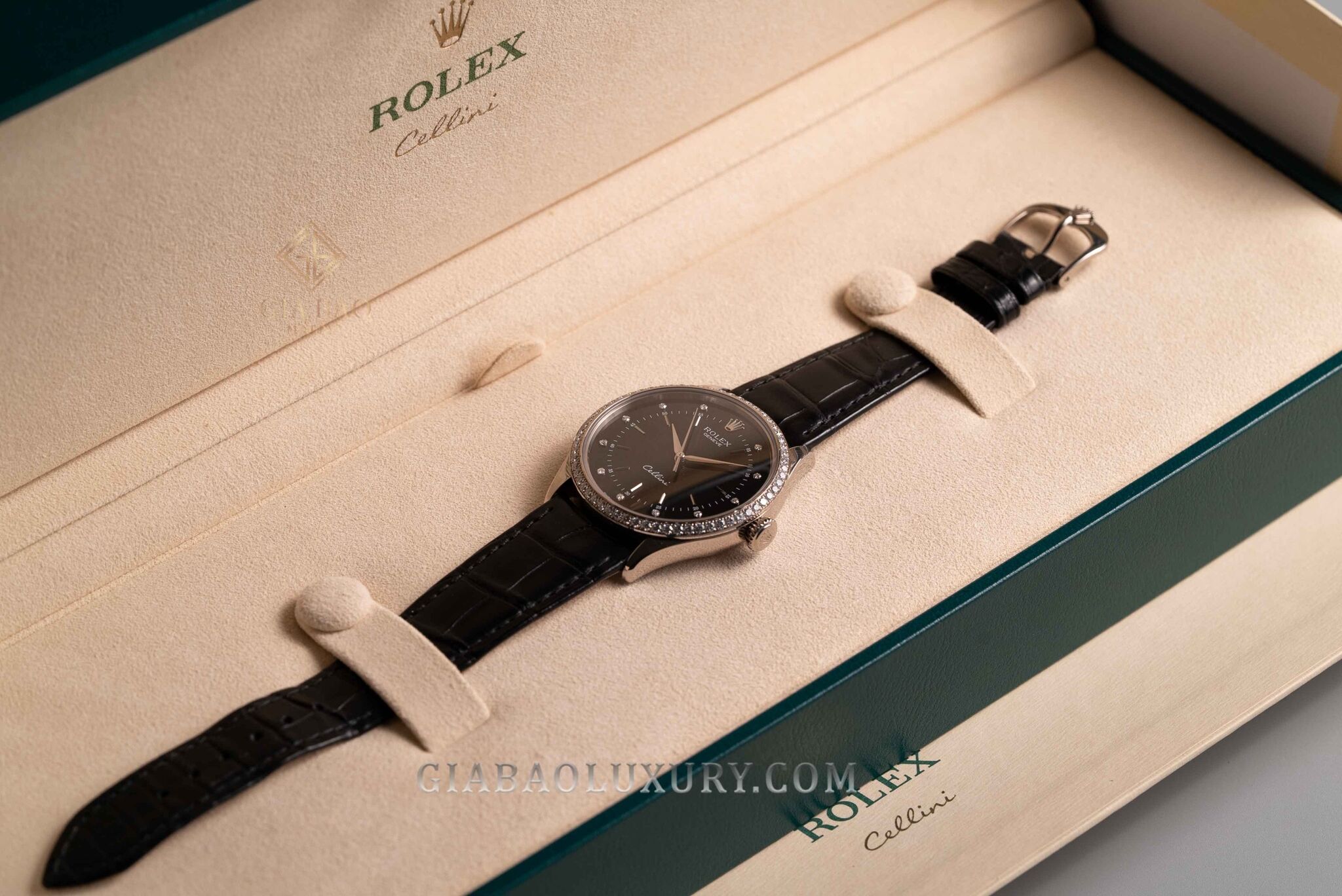 dong-ho-rolex-cellini-time-50709rbr-02189.jpg?v=1638866919312